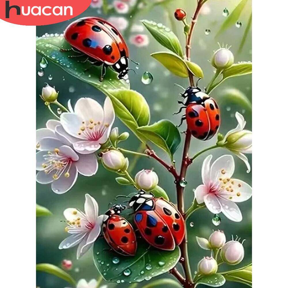 Huacan Dier Diy Diamond Painti - Embroidery Lady Bug recensie en prijs