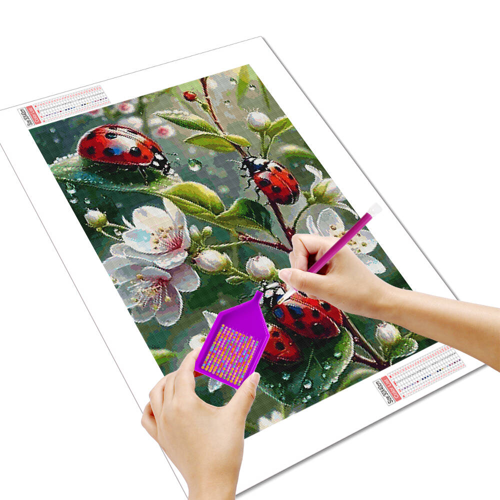 Huacan Dier Diy Diamond Painti - Embroidery Lady Bug recensie en prijs